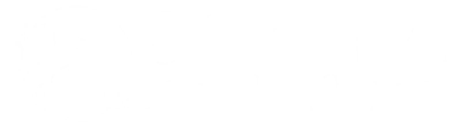 Shanvi Boutique